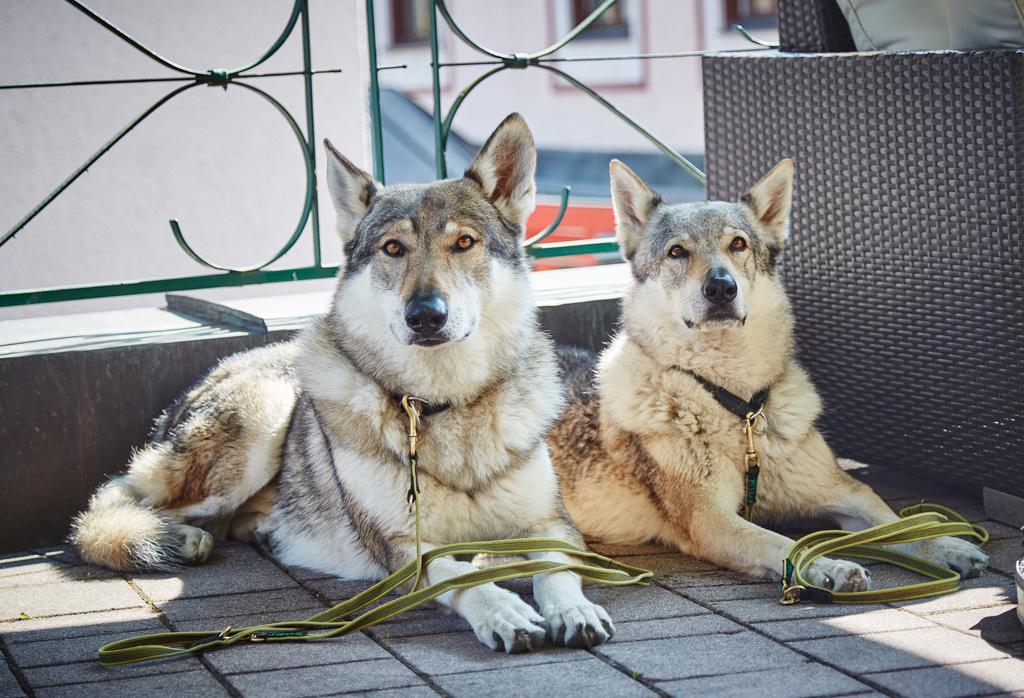 Hotel Wechselberger Saalbach-Hinterglemm Szoba fotó